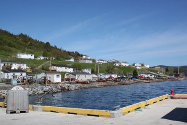 Cox's Cove