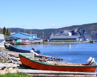 Boats on shore at Cox's Cove